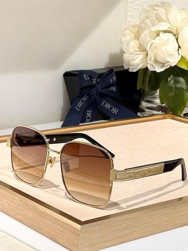 DIOR Sunglasses 195